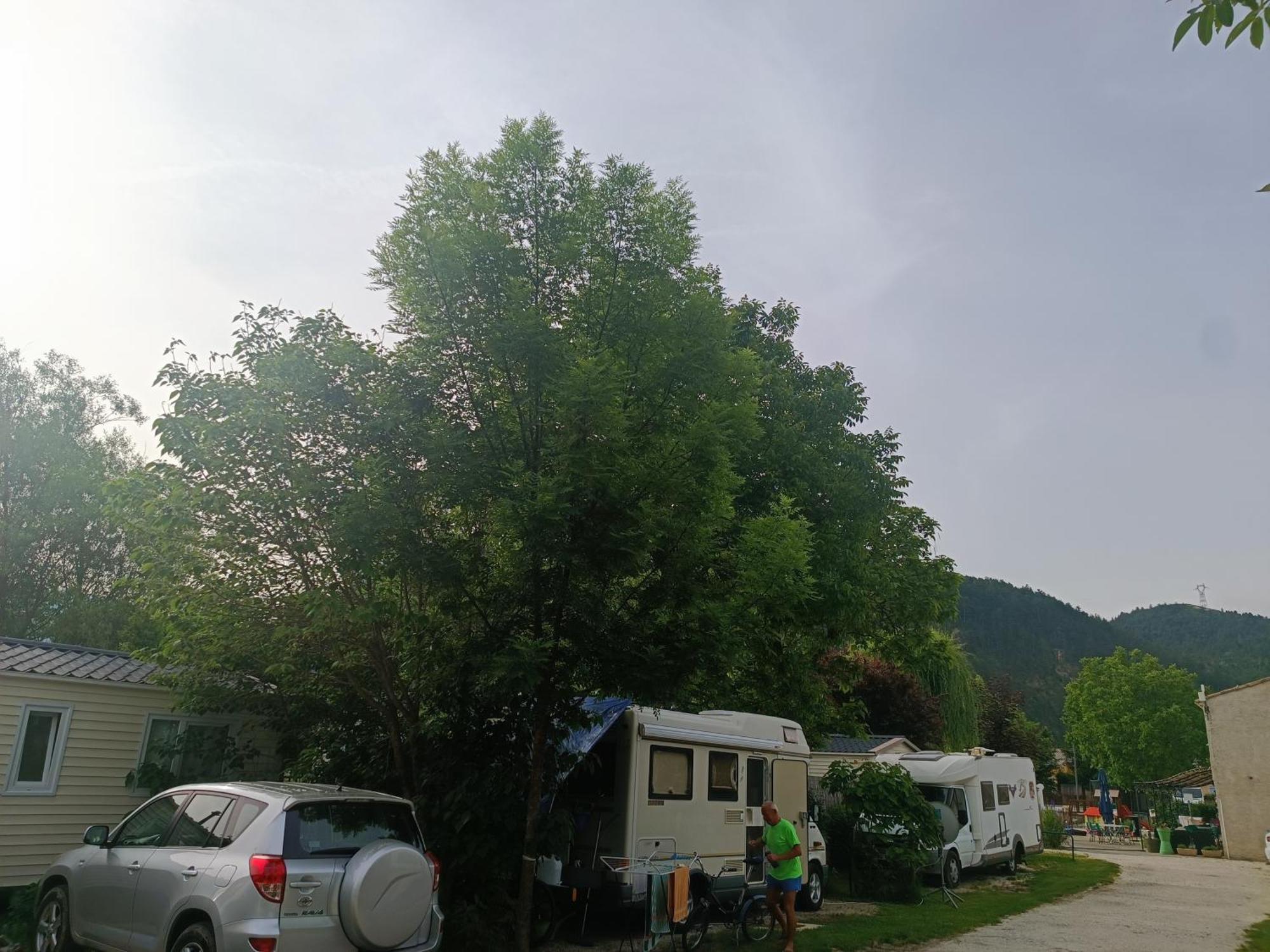 Les Lavandes, Castellane